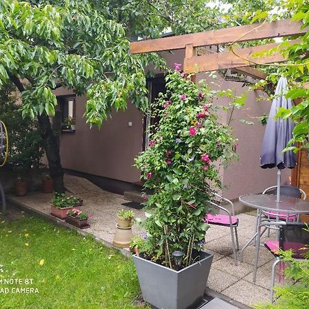 Apartment Garden Ceske Budejovice Luaran gambar