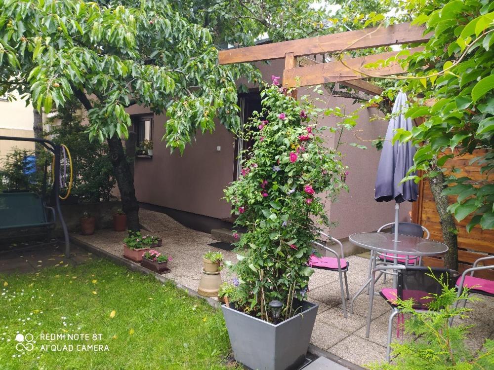 Apartment Garden Ceske Budejovice Luaran gambar